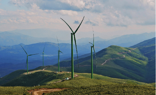 1687162183529807.jpg 1686820633691.jpg